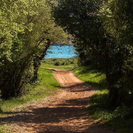 Casa vacanze Holiday Camping Santa Marina.3